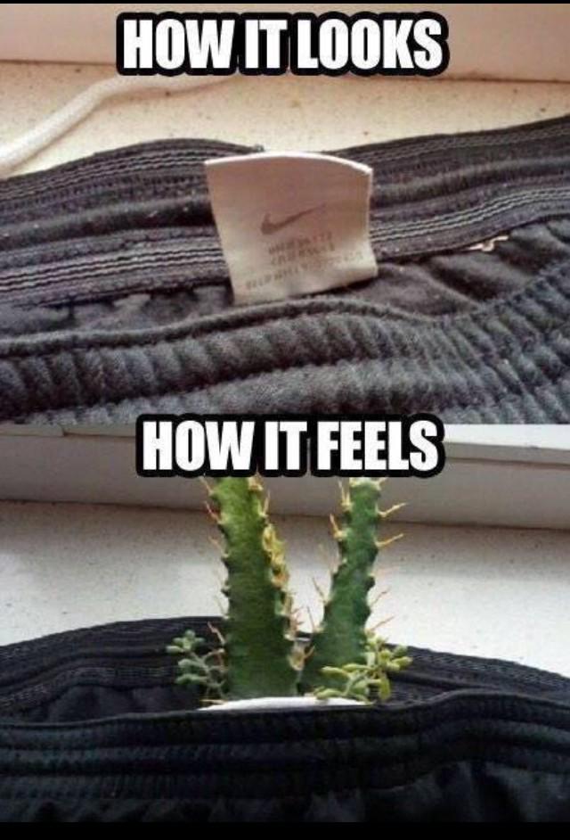 HaHa, right @TcoleSwag?????