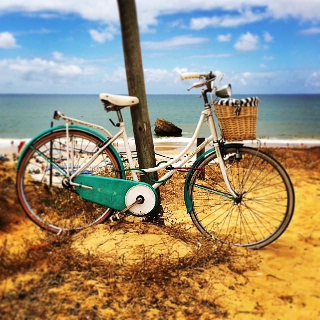 Un poquito de color para este día gris :) #matalascañas #almonte <a href="/viveandalucia/">Vive Andalucía</a> @mancondadohuelv <a href="/playadedonana/">MATALASCAÑAS-ALMONTE</a>