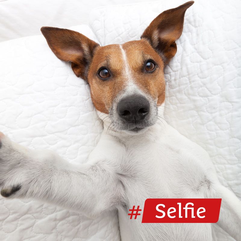 Winactie! Plaats je leukste selfie op onze www &amp; win 'n selfie stick mét ab! 5 dec as kiezen de winnaar! #winactie