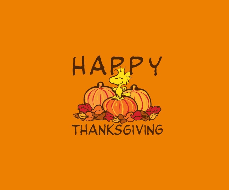 HarrisOneHour's tweet image. Happy Thanksgiving from our family to yours!