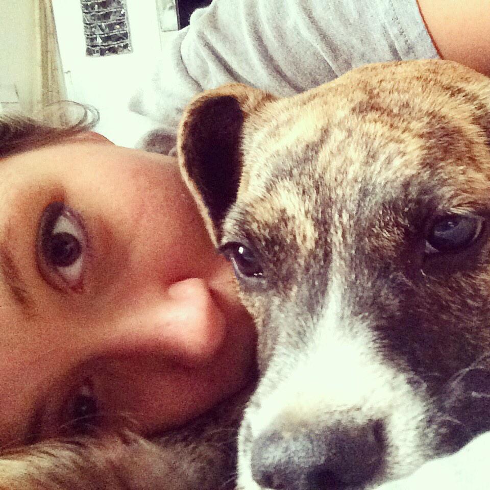 SimplyStuu's tweet photo. Watching  #thedogshow missing bishop http://t.co/PFfdMa9CUY