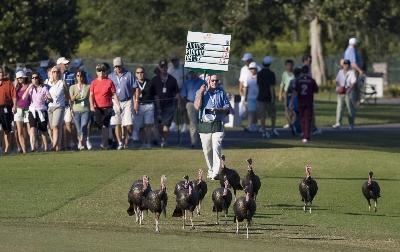 LevelheadGolf tweet picture