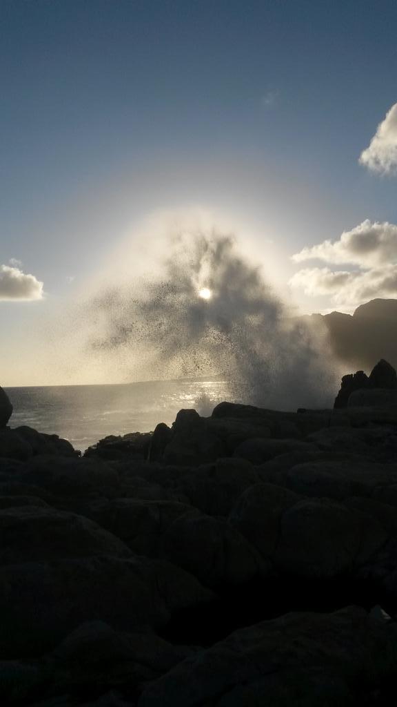 TeamVaderMMA's tweet photo. The beauty of the ocean ♡ @PSYQLOPZ @sivanmiller http://t.co/bRs8ZTR7cx