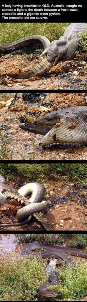 <a href="/poena505/">cobus muller</a> Ek sal eers vir n skietkursus gaan en gumboots aanskaf voor ek in Pongola gaan kuier😉