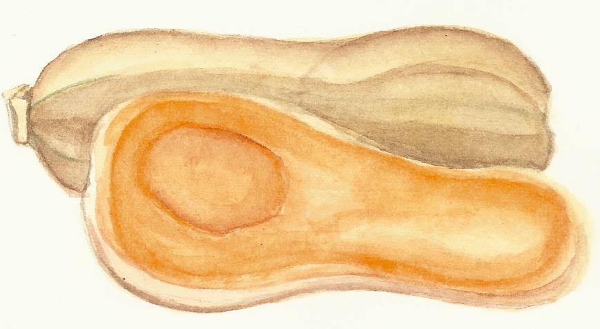 Fennec_Arts's tweet image. My butternut squash soup recipe! #HappyThanksgiving