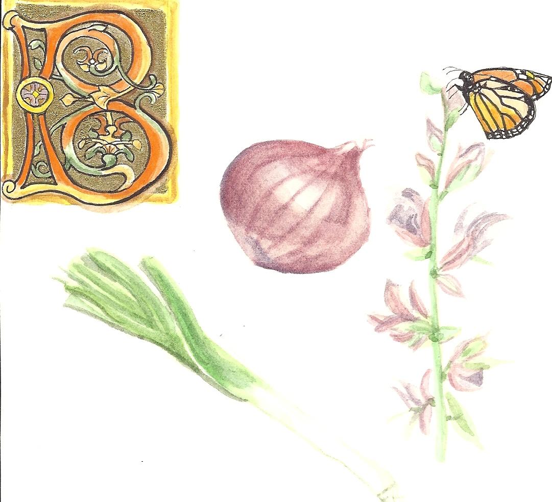 Fennec_Arts's tweet image. My butternut squash soup recipe! #HappyThanksgiving