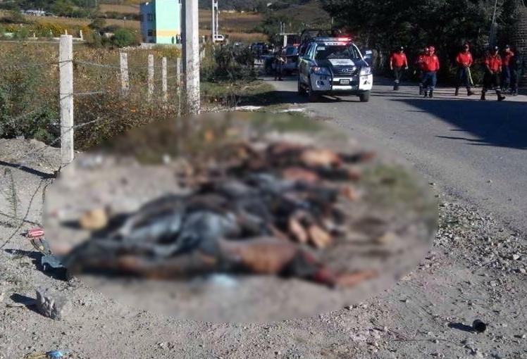 Guerrero - México: Hallan 11 cuerpos decapitados y quemados en el estado de Guerrero B3d8fklIYAATDNs