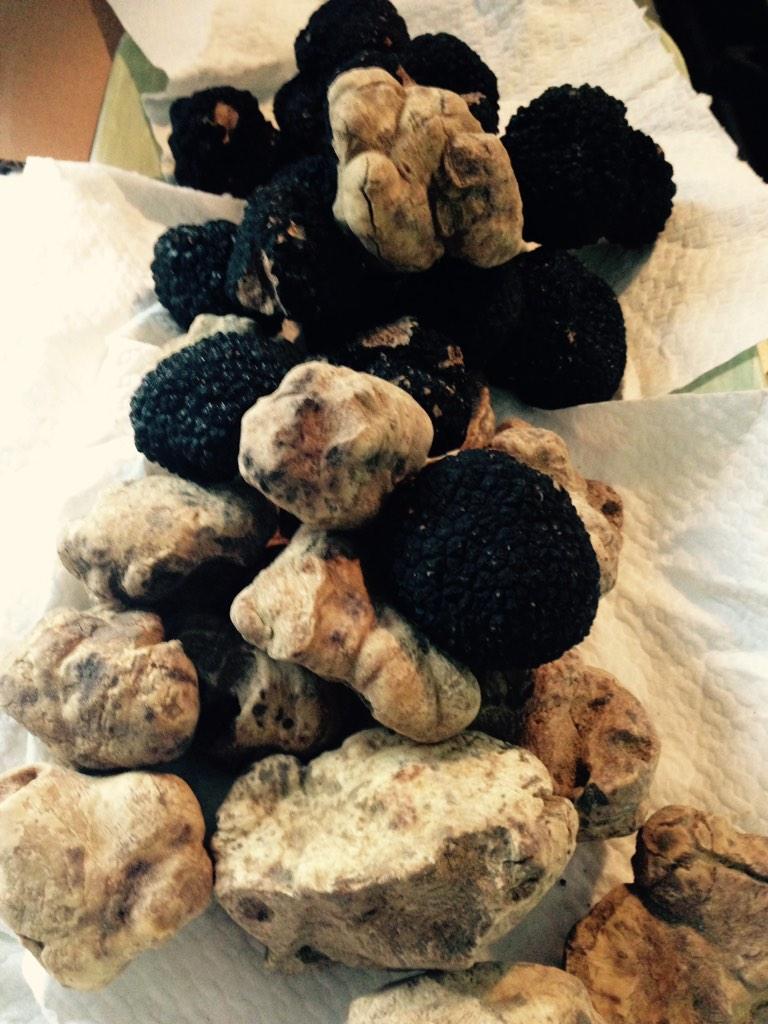 Your Truffle Man tweet media