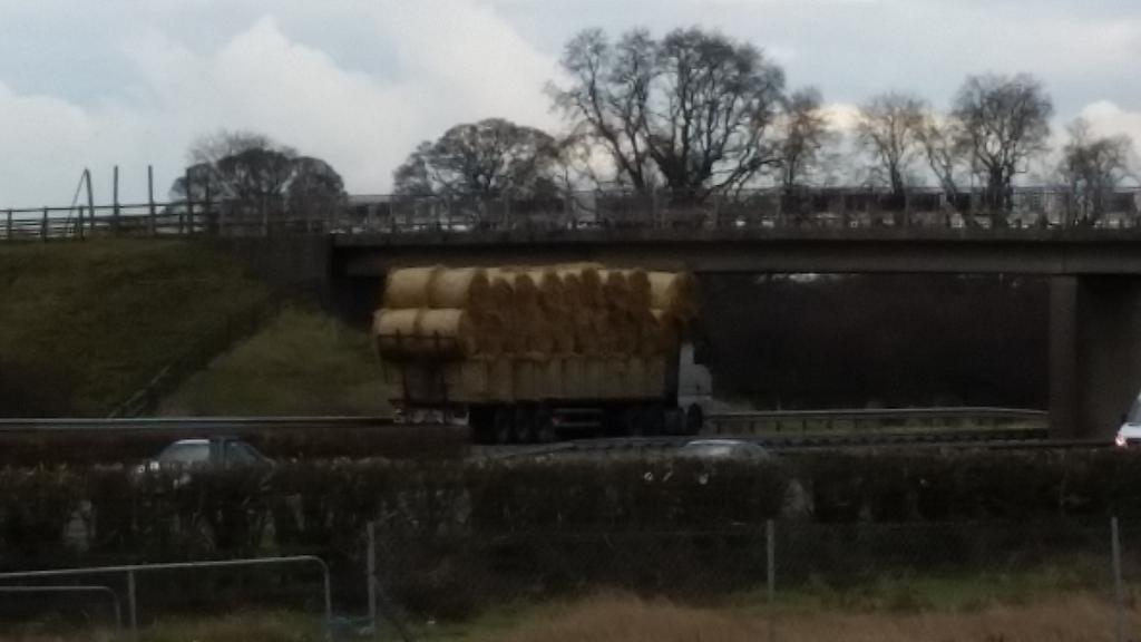 Darach Ó Fionnagáin tweet media