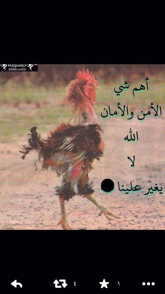 dima_dd_22's tweet photo. يردد مثل الببغاء #وش_ترتجي_من_شعب http://t.co/pN4RA6nTsk