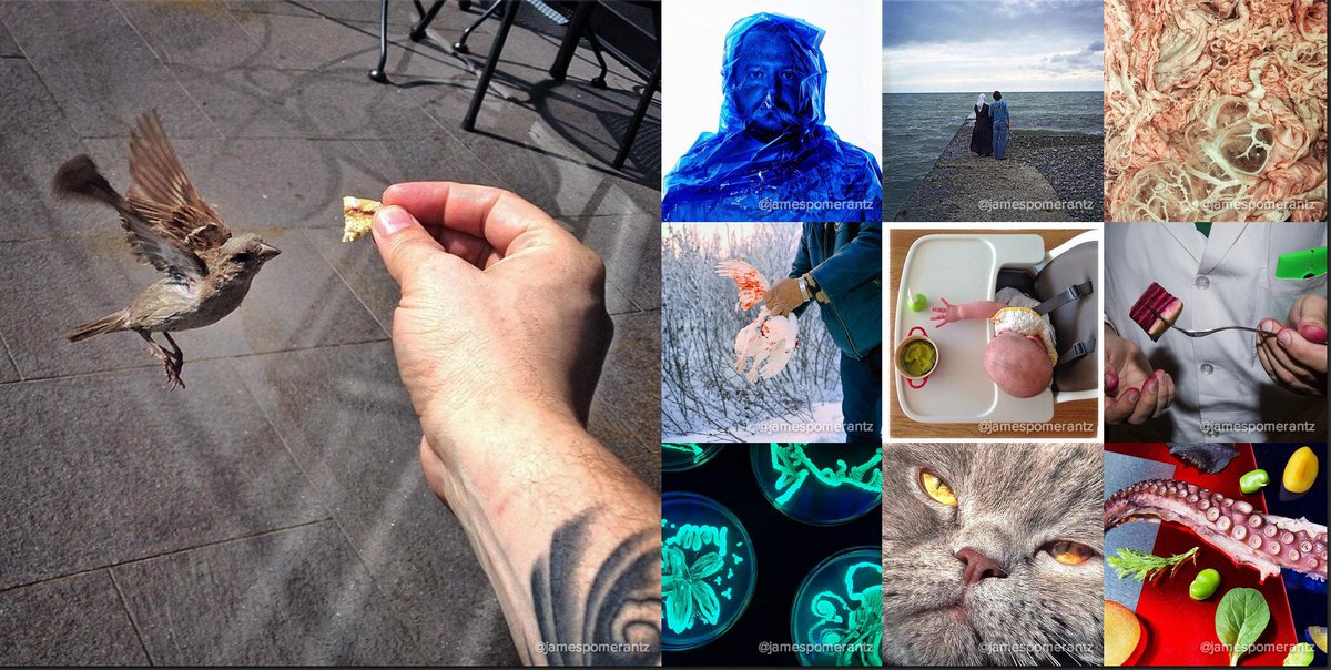 instagram's tweet image. Life journeys and culinary art with @JamesPomerantz blog.instagram.com/post/103721836…