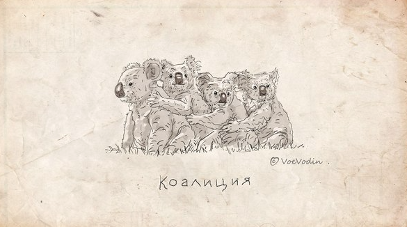 Главная задача новой Рады - проводить реформы, - посол США - Цензор.НЕТ 177