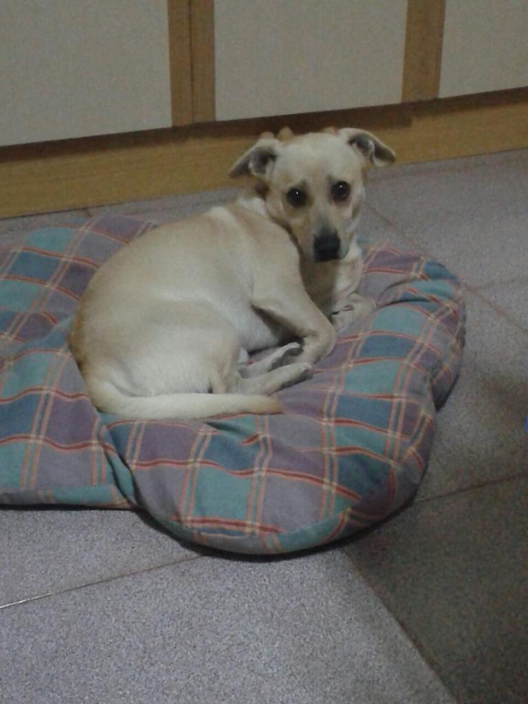atoor17's tweet photo. #zapeando255 http://t.co/IM3IzYN6hR