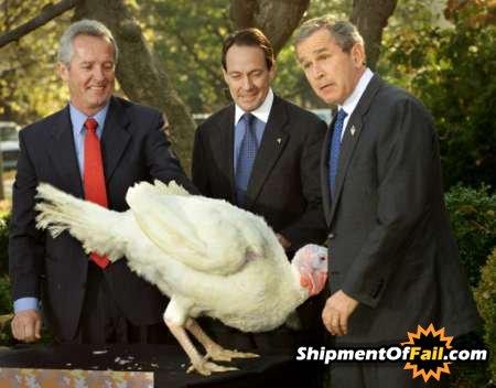 InterwebzComedy tweet picture