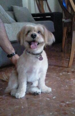 aracoeli27's tweet photo. #zapeando255 Lo mas guapo http://t.co/VwUXE1IlMg