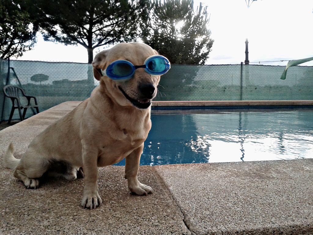 loorenaet17's tweet photo. Esperando el veranito☺ #zapeando255 http://t.co/nWTQ8mLNgJ
