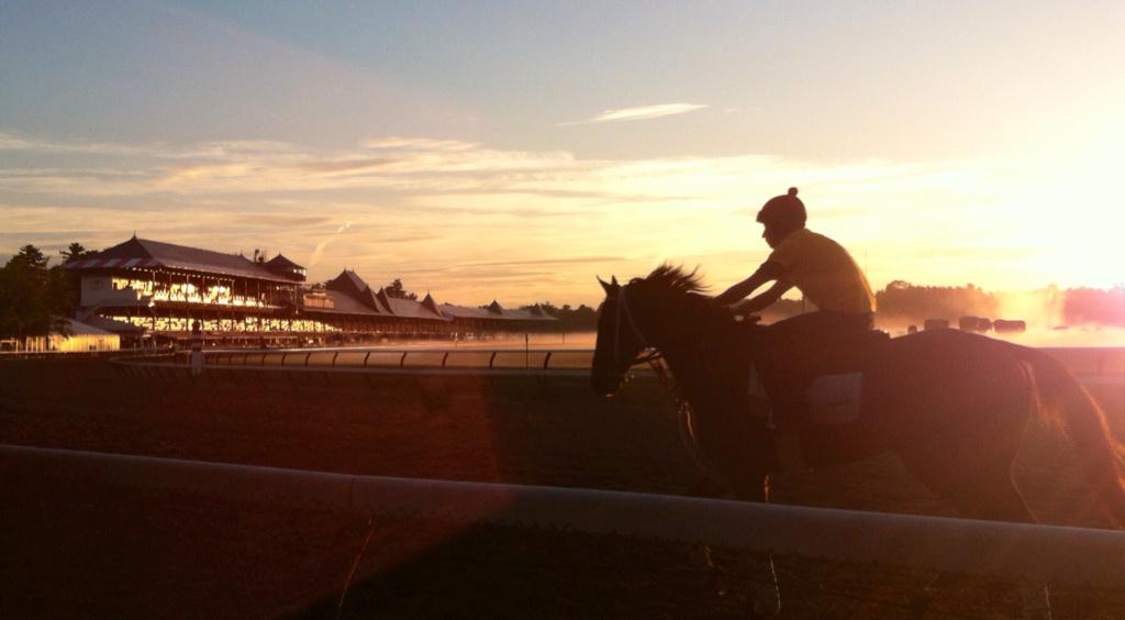 Thorobros's tweet image. Lots for racing fans to be thankful for in 2014 #CaliforniaChrome #untapable #wisedan #saratoga @ABRLive @TheNYRA