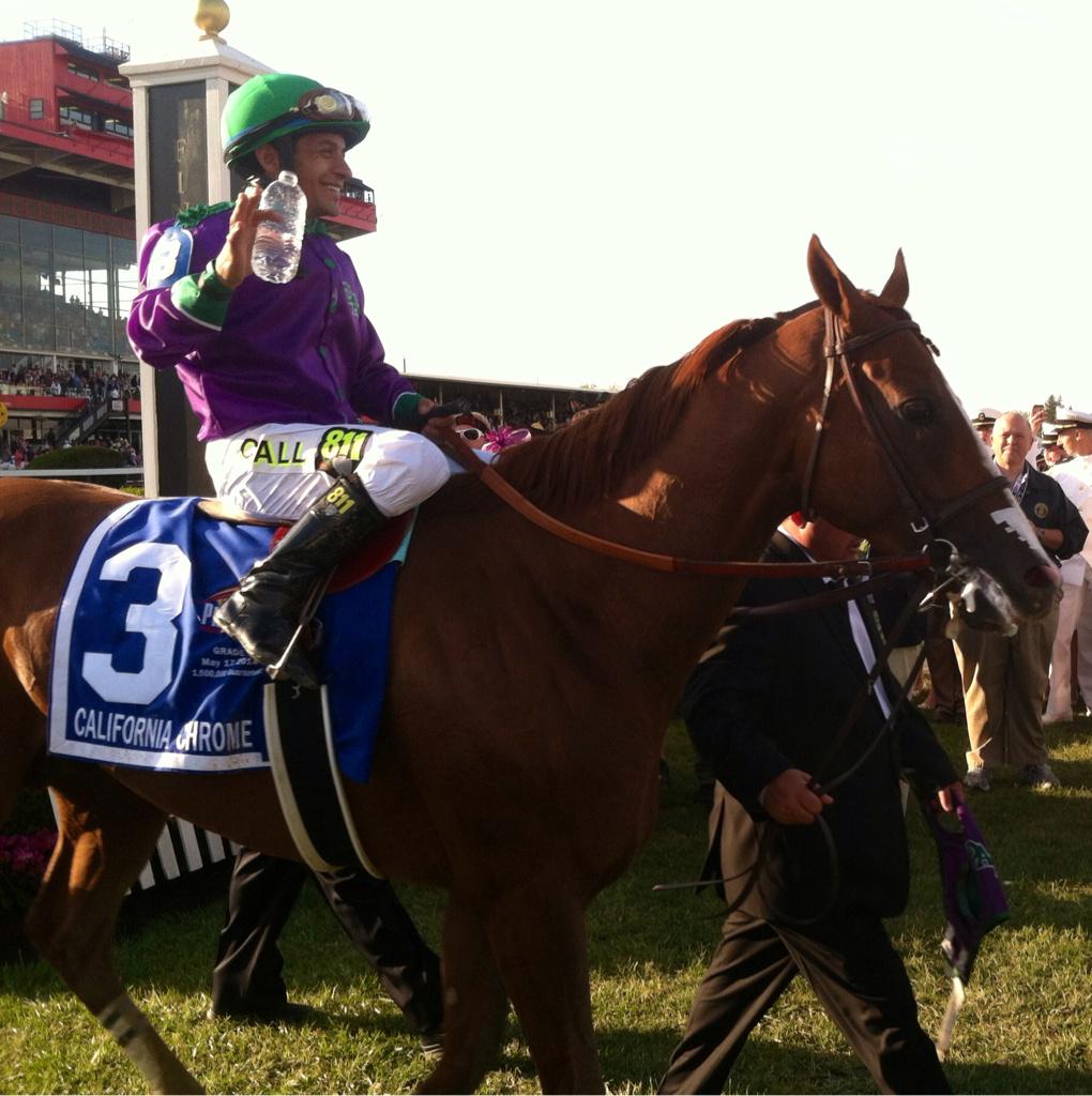 Thorobros's tweet image. Lots for racing fans to be thankful for in 2014 #CaliforniaChrome #untapable #wisedan #saratoga @ABRLive @TheNYRA