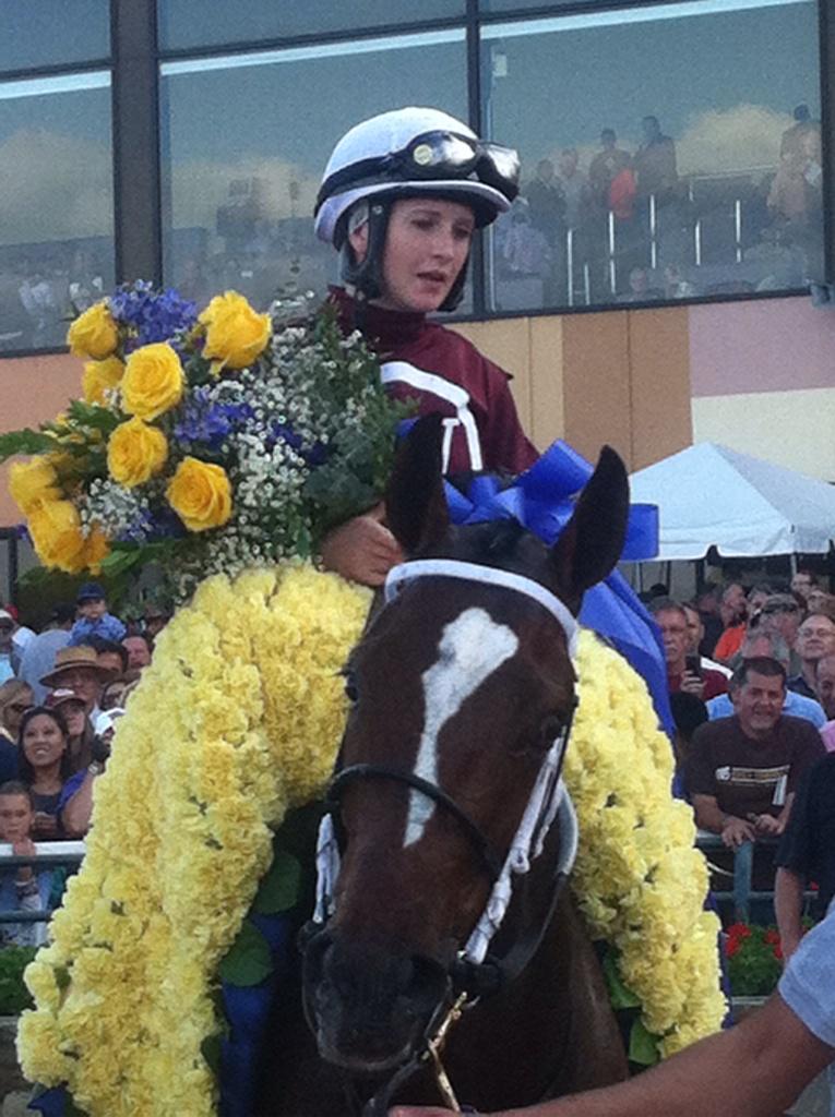 Thorobros's tweet image. Lots for racing fans to be thankful for in 2014 #CaliforniaChrome #untapable #wisedan #saratoga @ABRLive @TheNYRA