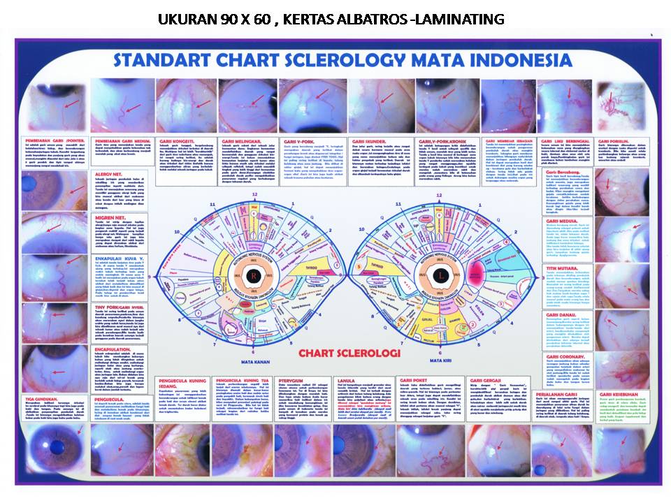 Sclerology Chart