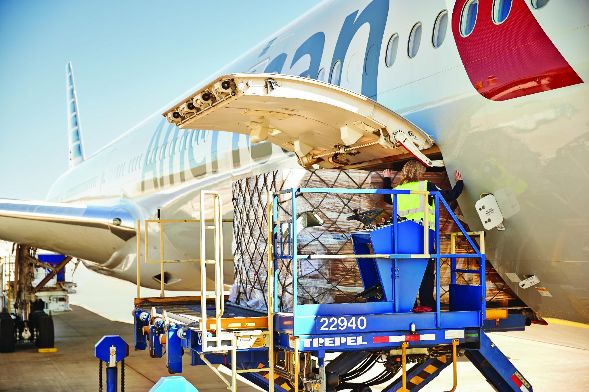 American Airlines on Twitter "Our bird is stuffed and ready to go