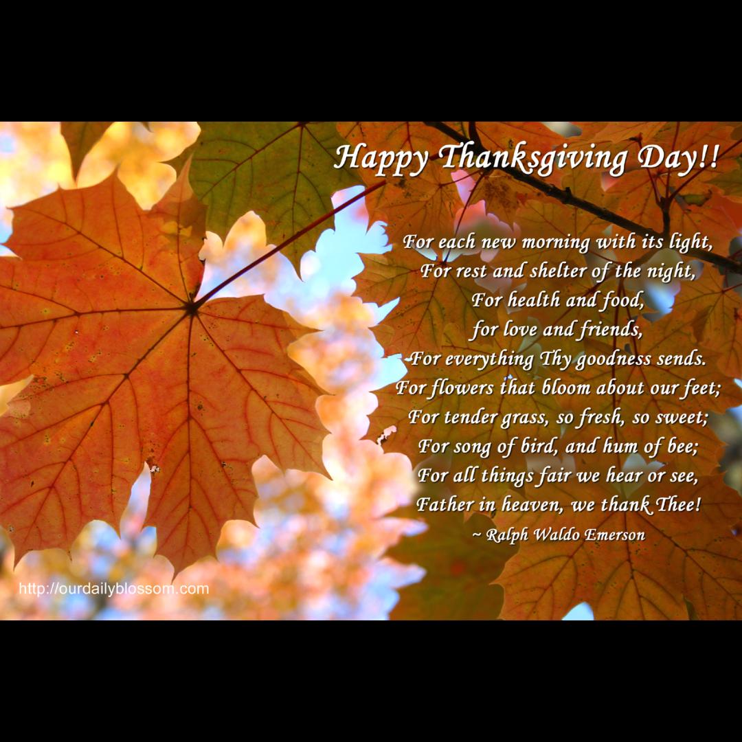 Happy Thanksgiving to you and yours from The Greys. <a href="/CarrickGrey_RP/">Carrick Grey</a>