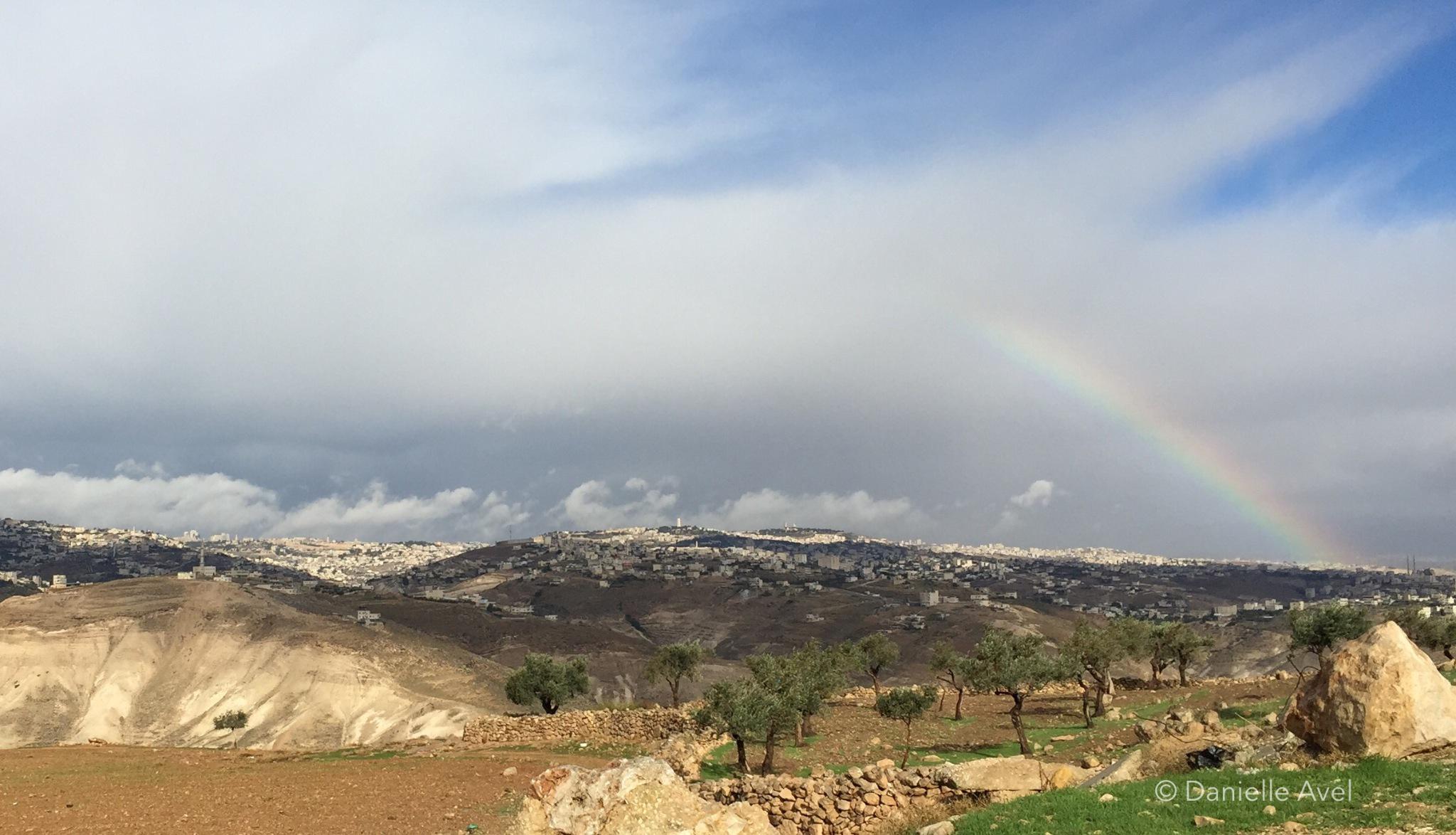 Embedded image permalink