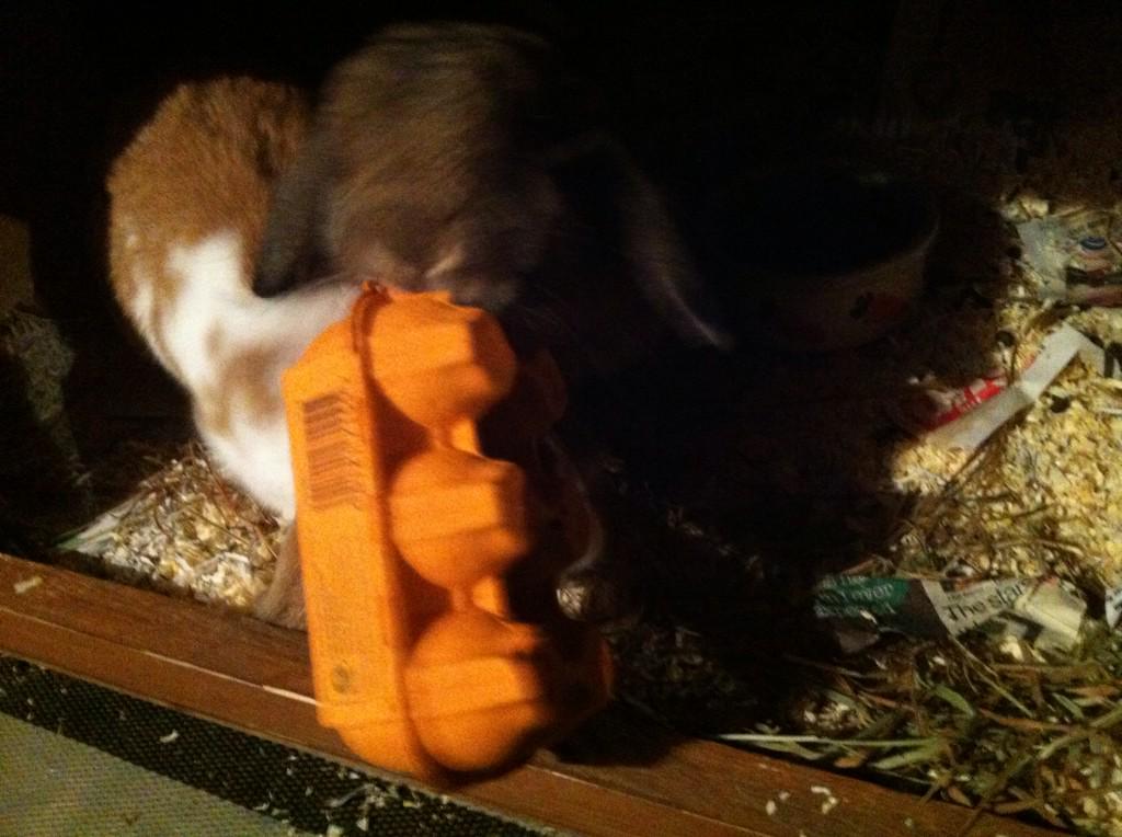 r_is4rachel's tweet photo. Putting the monkeys&the box story into practice... My monkeys will probably just eat the box!#tmm14 @GuerrillaEd http://t.co/yAZhNHeMls