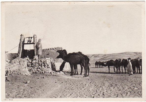 FezzanLibyaOrg's tweet photo. #Fezzan #Libya #ItalianOccupation http://t.co/ttktquFaZm