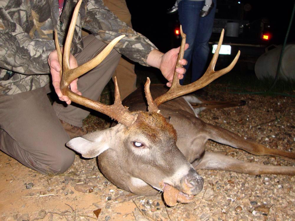 HalGarner's tweet image. 2009 flashback