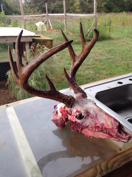 HalGarner's tweet image. Early season 8 pointer.