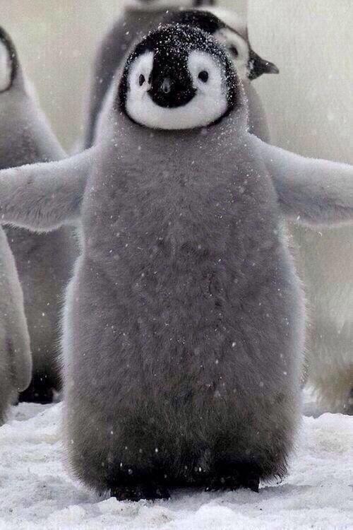 andreaperezss's tweet photo. "@_Paisajes_: RT si quieres un abrazo!!! http://t.co/SnhoRaA9fg" @RollerGJr :'D