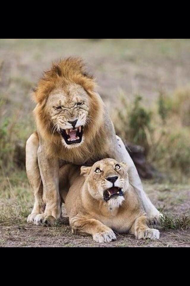 3o4talks's tweet photo. When you tryna hit it from the back but you put it in the wrong hole http://t.co/j5LGT5bod2