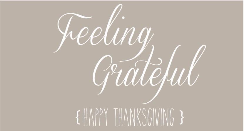 NayaRivera's tweet photo. So many things to be thankful for. Grateful for it all! Happy Thanksgiving, loves. http://t.co/Q4lN3ZU8Zz