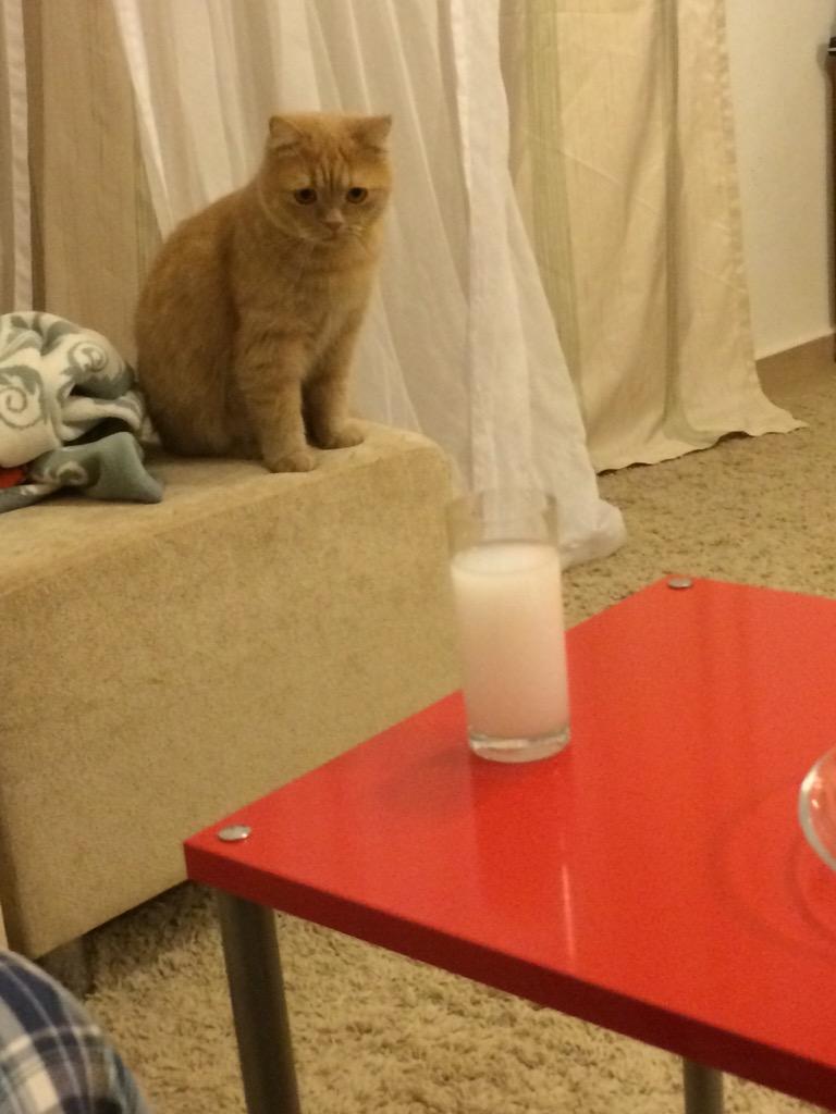 kontey's tweet photo. Kedi uzanamadığı Tekirdağ'a Abbas dermiş... http://t.co/PONYttqvAo