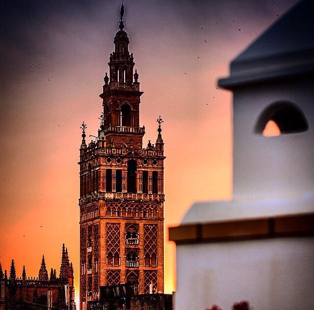sevillacontigo's tweet photo. Os presento a la novia del mundo,buenas noches Sevilla. #sevillacontigo http://t.co/08UqKRBlJg