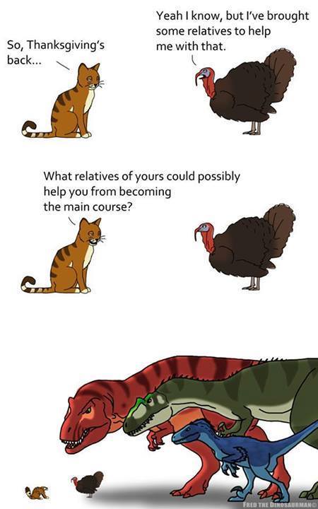 leaflitter4's tweet photo. Happy Thanksgiving! #ENVB222 http://t.co/DH44LA0ree