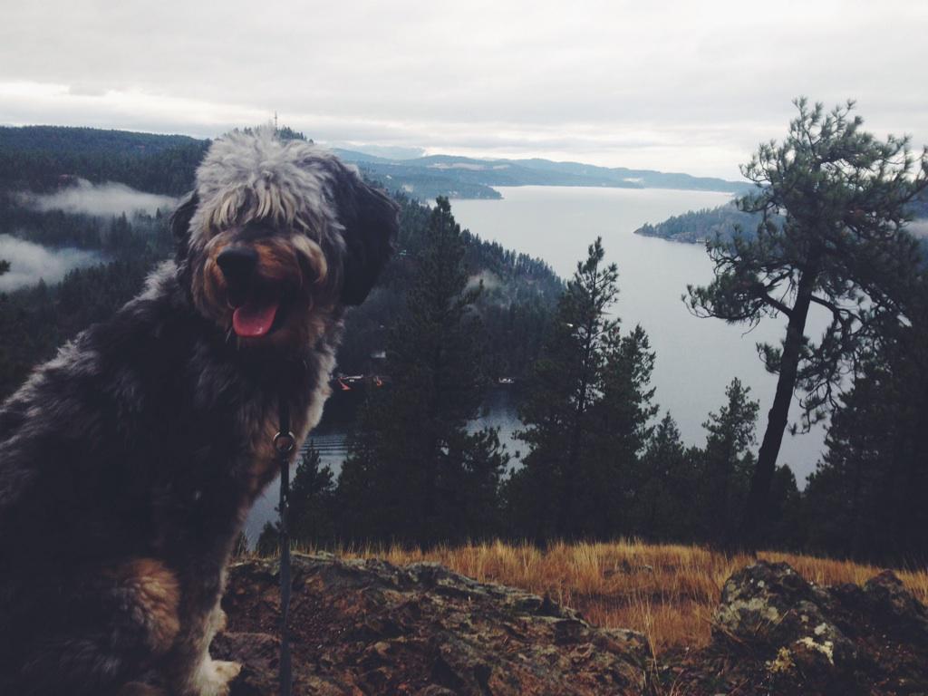 Stacktheblocks's tweet photo. Hiking on Mineral ridge near Coeur d'Alene,ID http://t.co/DZzFzg7a3Y