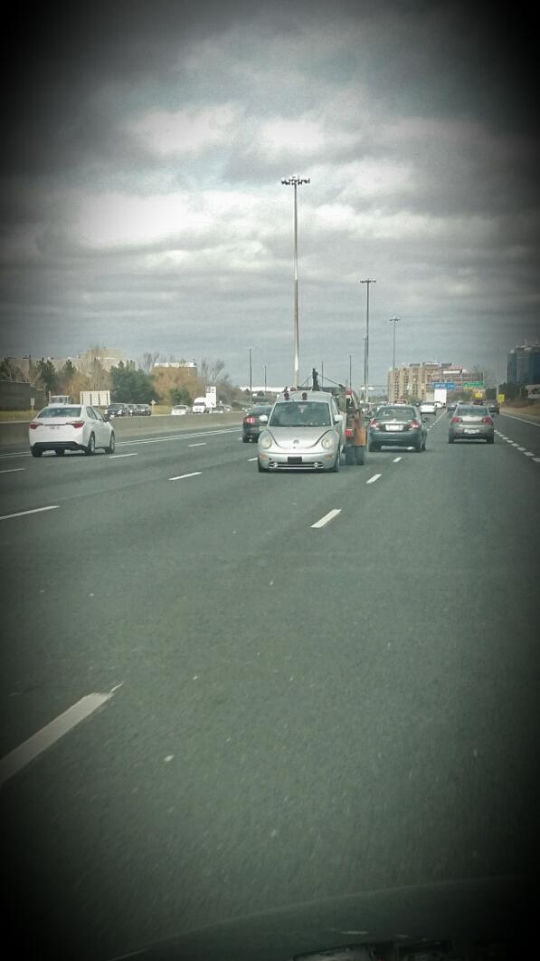 1Love1World1Ppl's tweet photo. #Poorbug #BugOnATug @littleorangebug @SGVWA http://t.co/911qSIW5hV