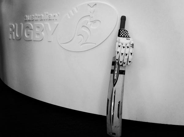 Wallabies tweet media