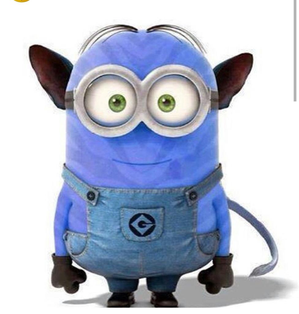 bermejo_7's tweet photo. @Rakel75es minionavatar jajajaja http://t.co/FizpEnTGDT