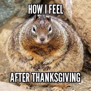 JhuSquirrels's tweet photo. http://t.co/eKz6GIsaPX