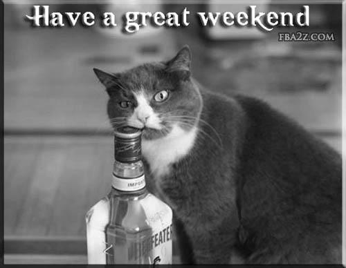 AusOffers's tweet photo. Have a great #weekend ! #TGIF http://t.co/Va7pLKQubo
