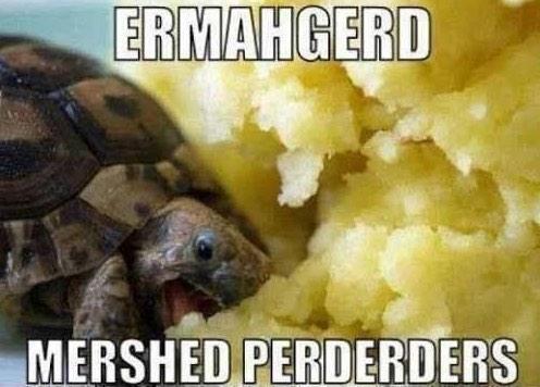 #THANKSGIVING GOT US LIKE 
#granola
#granolasgiving
#glutenfree  
Happy Thanksgiving from Vikis!!