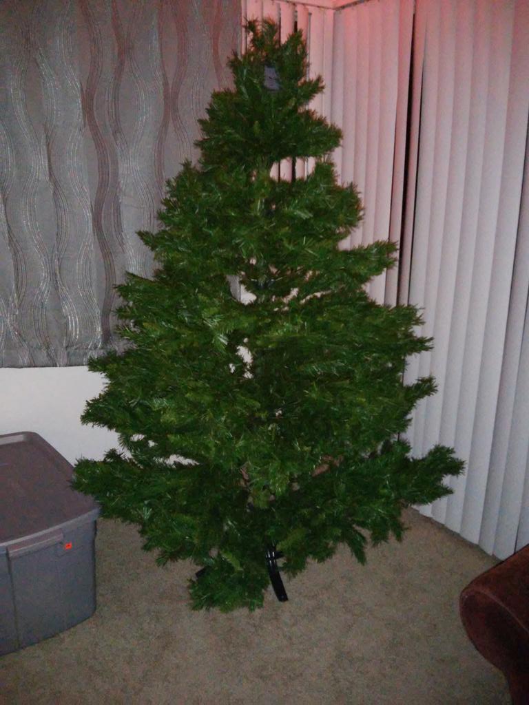 Frankiboibutt's tweet image. #FreeChristmasTree Now we can have Christmas @TeC_Husky @ilovecorgis @dakotagraypaw