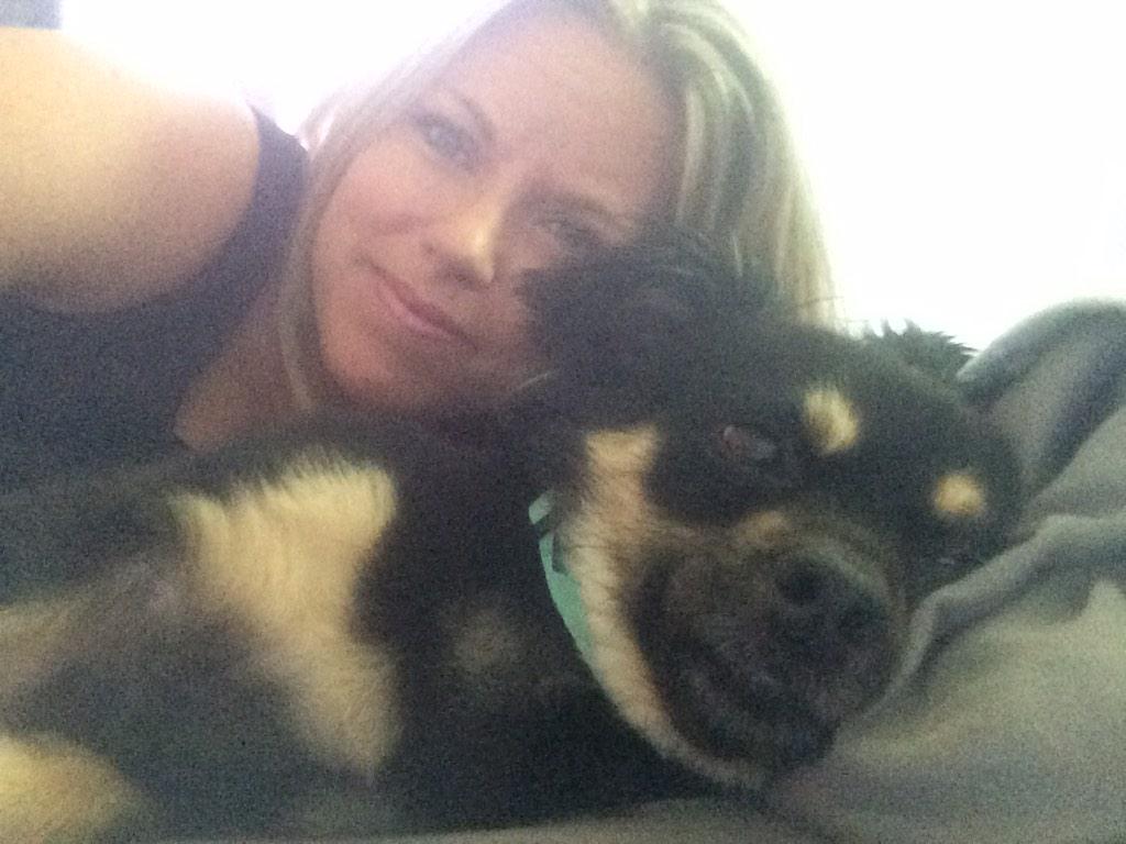 A_Kelly5's tweet photo. #foxcauseforpaws http://t.co/0ij67rD1LD