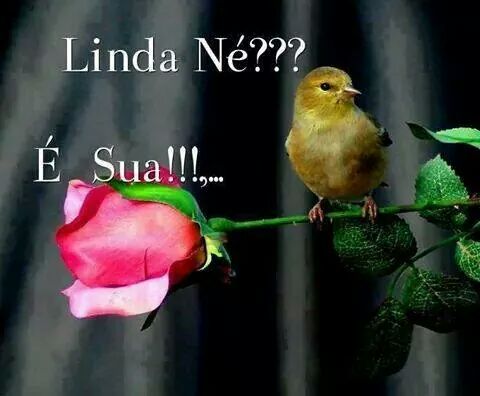 EdipoWarlen's tweet photo. http://t.co/UUTD4aLgHT