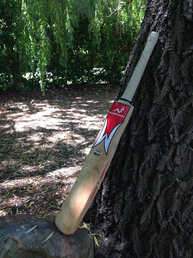 #putoutyourbats
