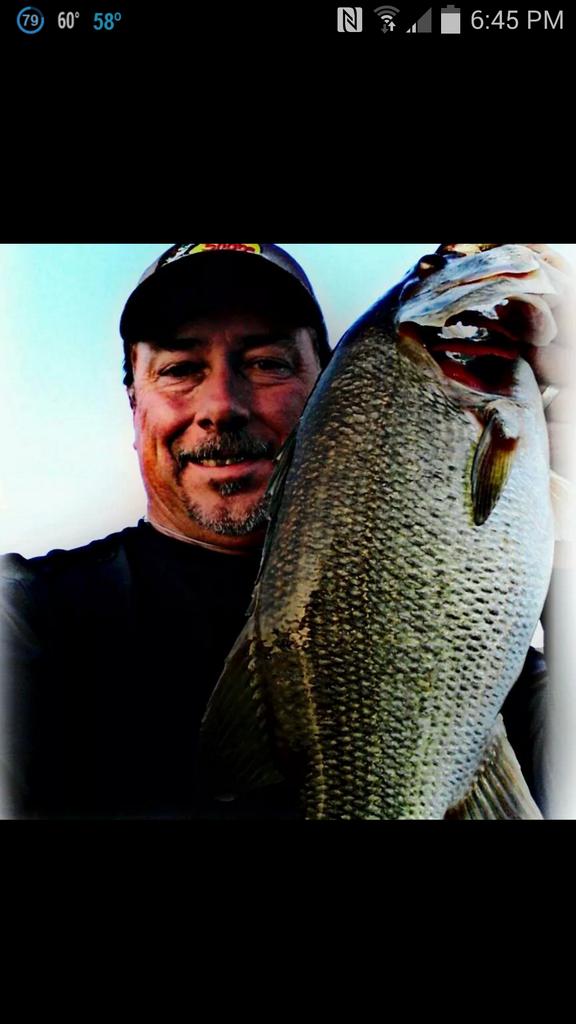 RdRickdenton55's tweet photo. #thanksgiving #bassfishing --- #fishing #bassboats #rods&amp;reels #bigbass #sportfishing #hunting #crappiefishing #slab http://t.co/79zr7vIpMz