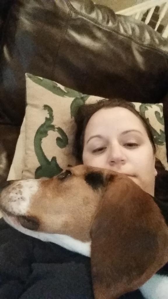 kriswyb's tweet photo. #CauseforPaws eddie murphy, my beagle rescue! http://t.co/HWRZmLFU64